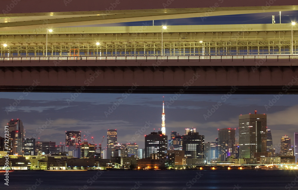 彩虹桥和东京塔的东京湾
