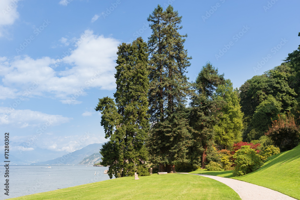 科莫湖美丽的梅尔齐别墅公园里的高大树木