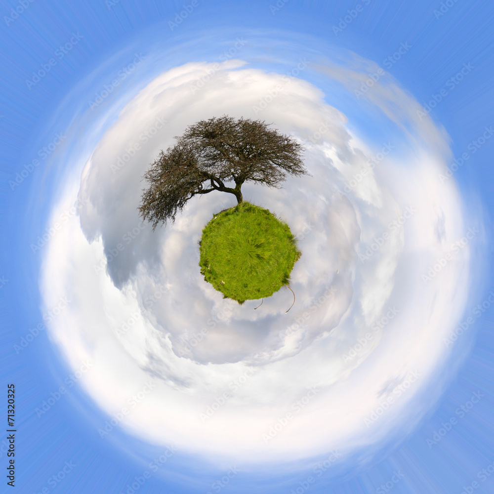 Albero di quercia su un globo verde - Pianeta terra - Globo