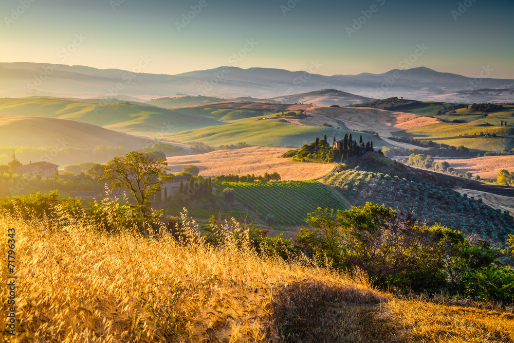 日出时的托斯卡纳风景，意大利瓦尔迪奥尔西亚
