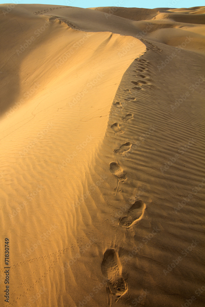 沙漠中沙子上的人类足迹