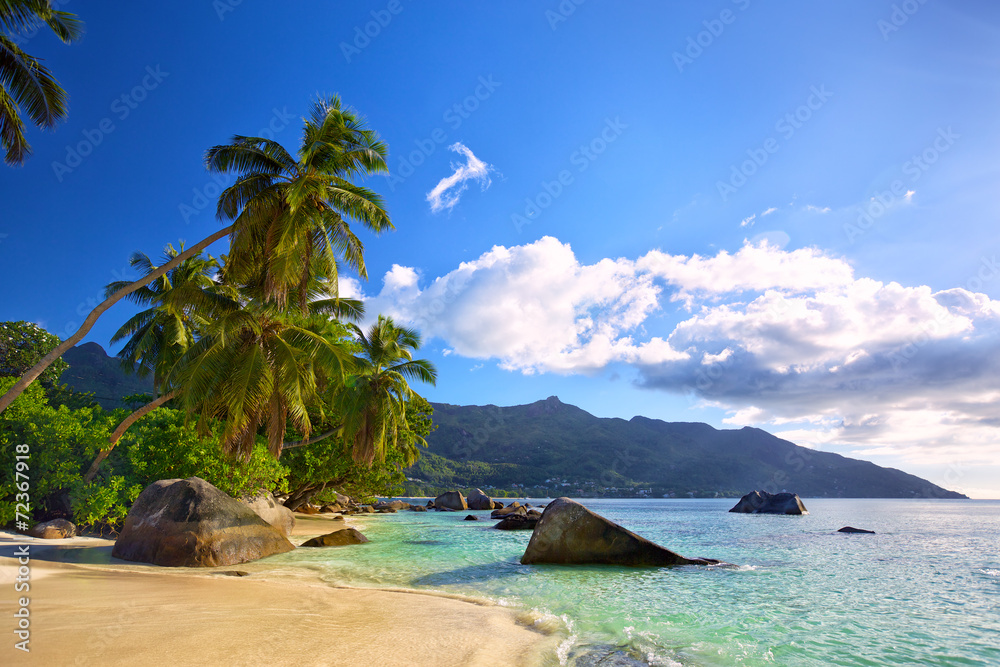 塞舌尔马埃岛有棕榈树和岩石的热带海滩