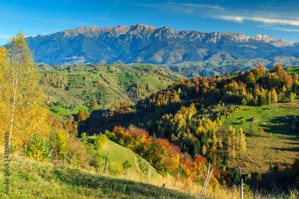 罗马尼亚马古拉村，绿色的田野和五颜六色的秋林