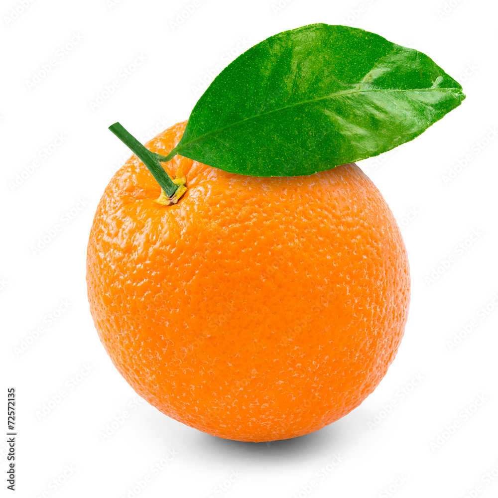 白色背景上的橙色