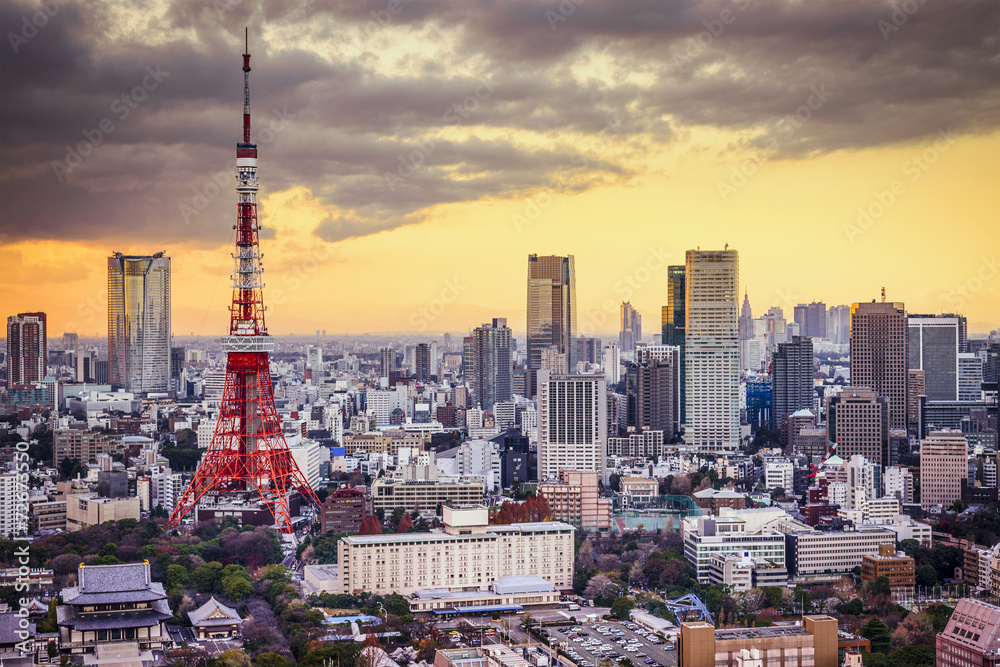 东京，日本东京塔的天际线