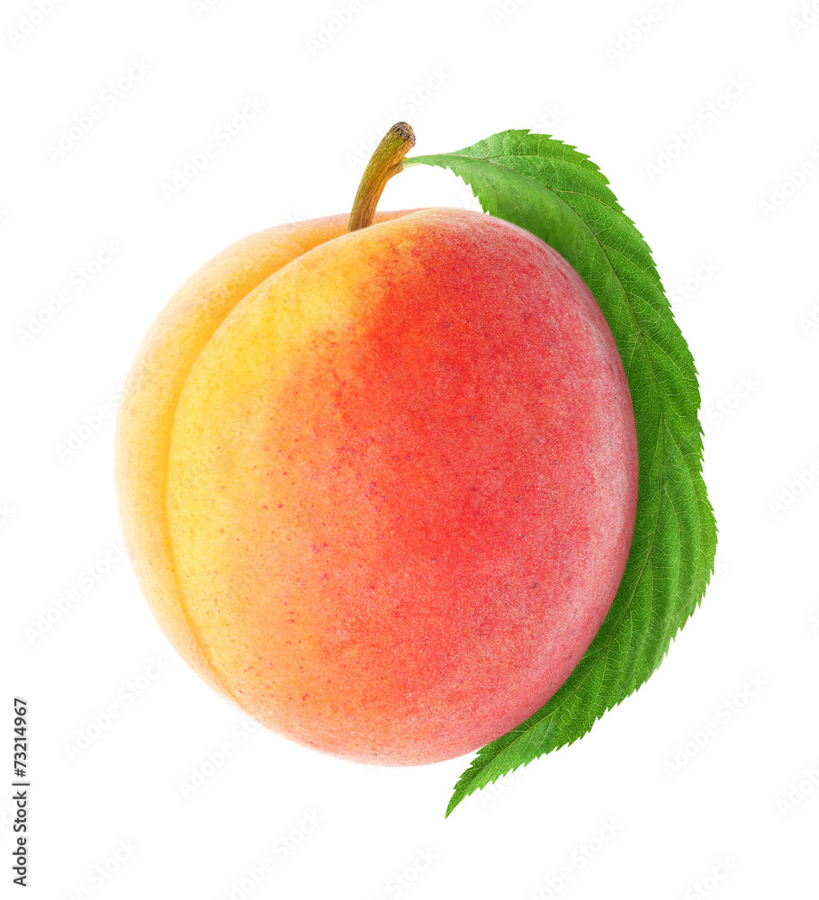 孤立的桃。一种新鲜的桃果实，叶片孤立在白色背景上，有修剪路径