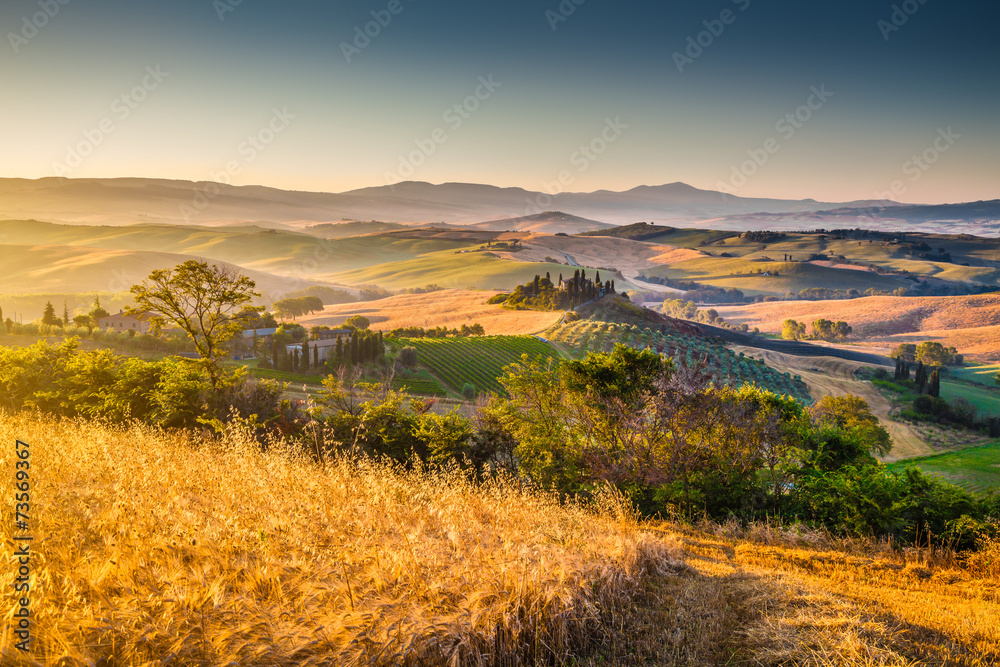 日出时的托斯卡纳风景，意大利瓦尔迪奥尔西亚