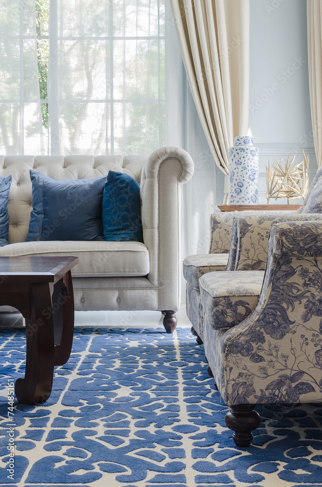 蓝色花纹地毯上有沙发的豪华客厅