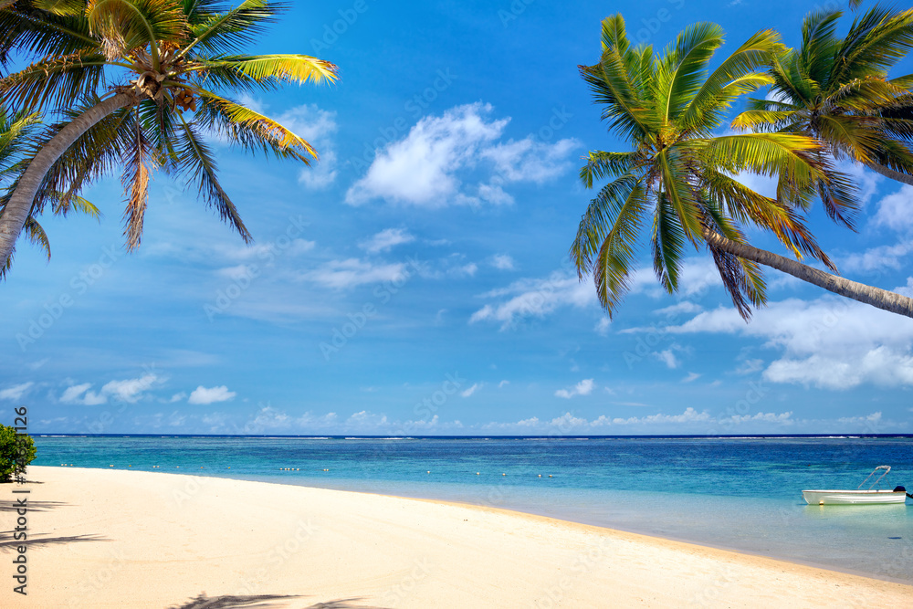 毛里求斯棕榈和沙滩的完美热带海滩