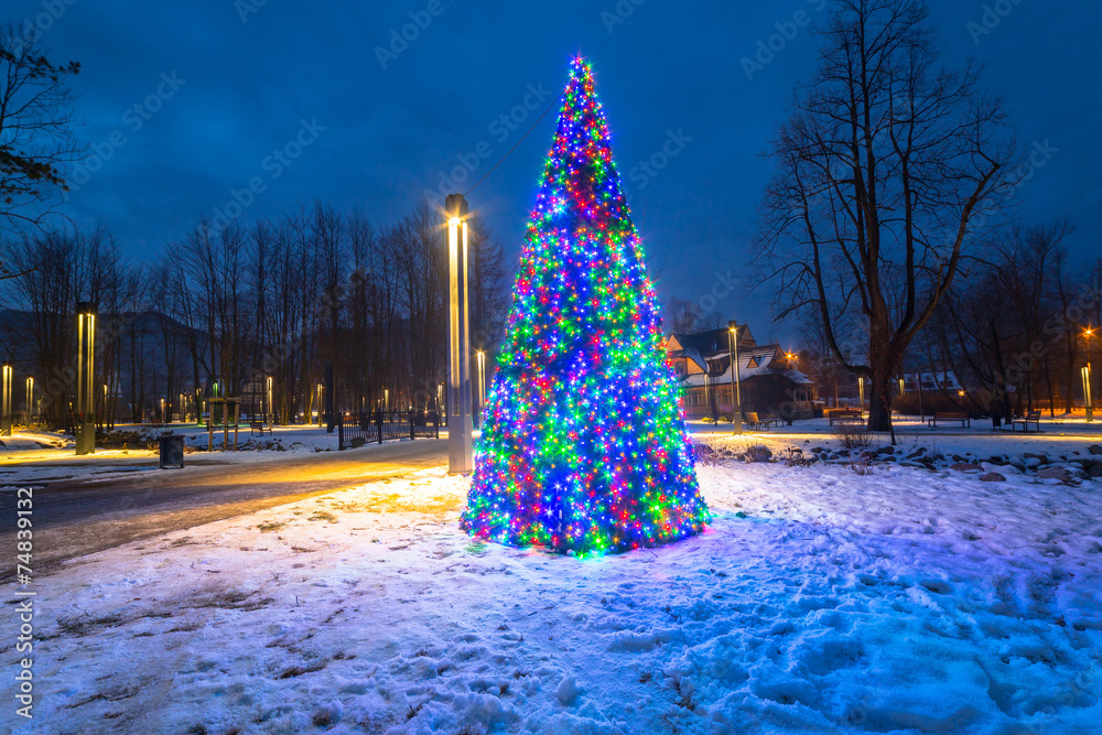波兰扎科帕内公园里的圣诞树灯