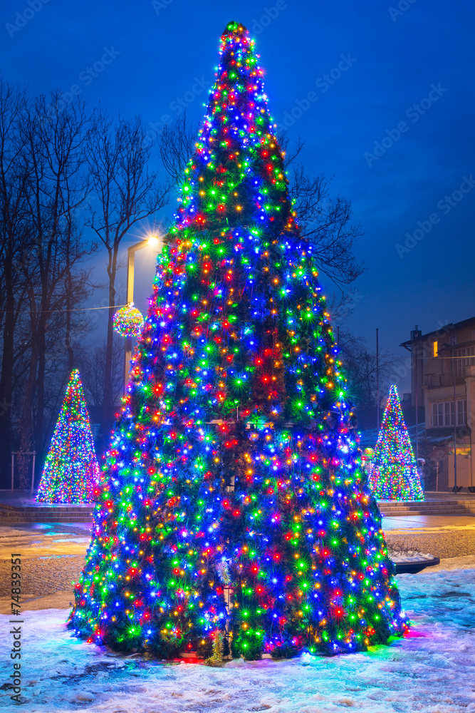 波兰扎科帕内公园里的圣诞树灯