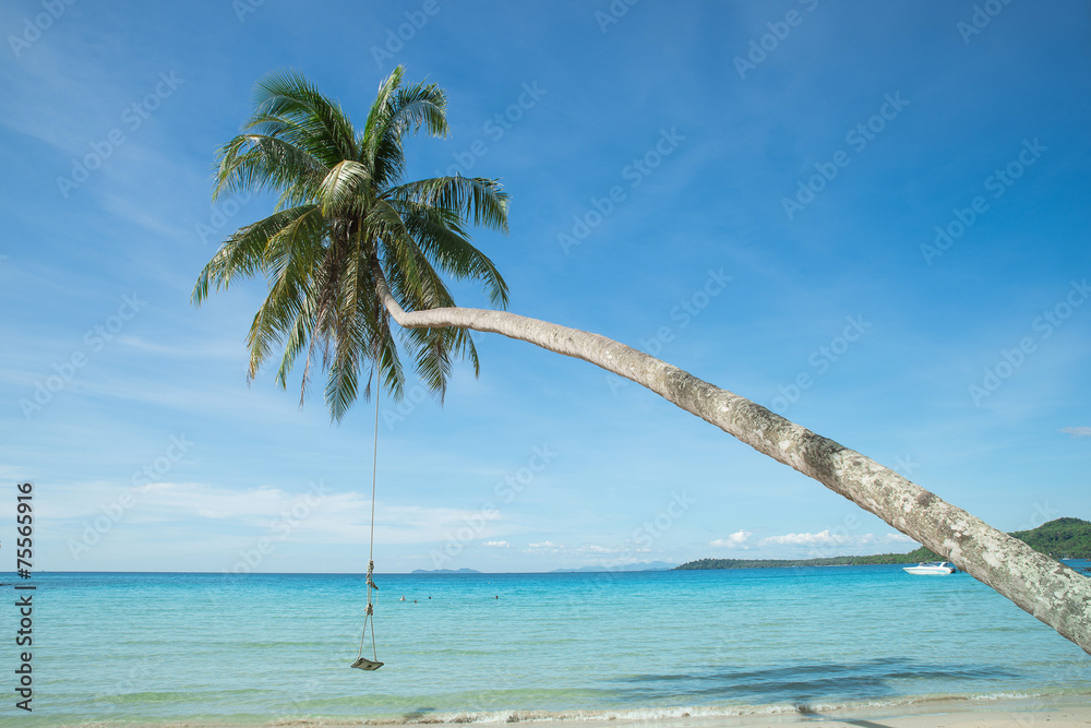 海滩上椰子树上的秋千