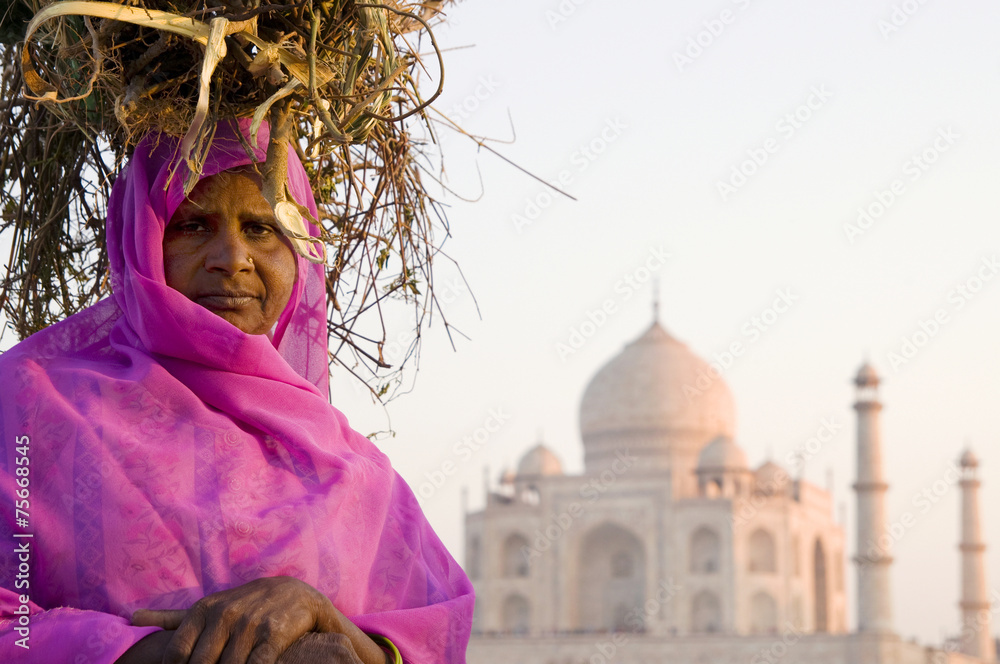 Indigenous Indian Woman And Taj Mahal As A Background