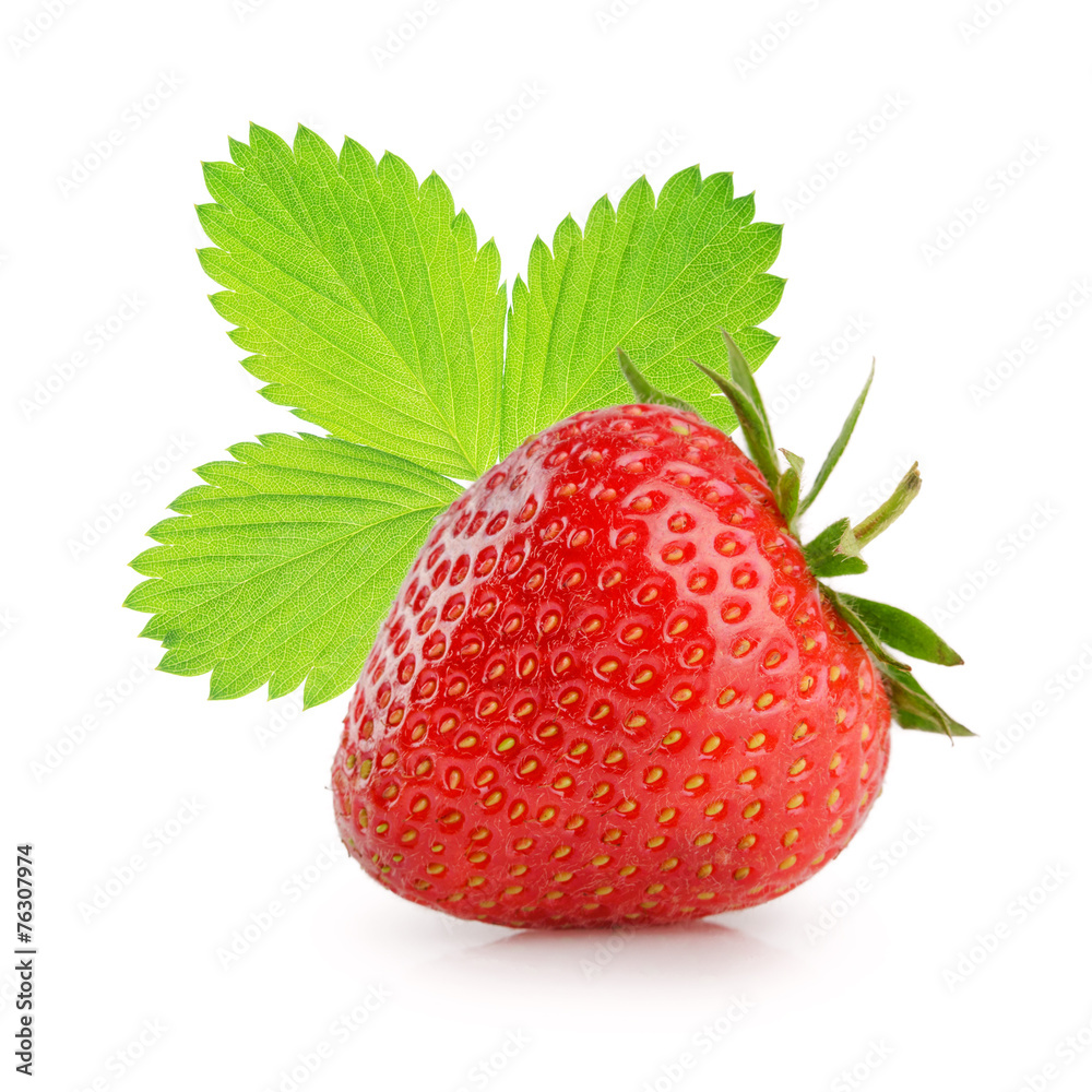 草莓分离