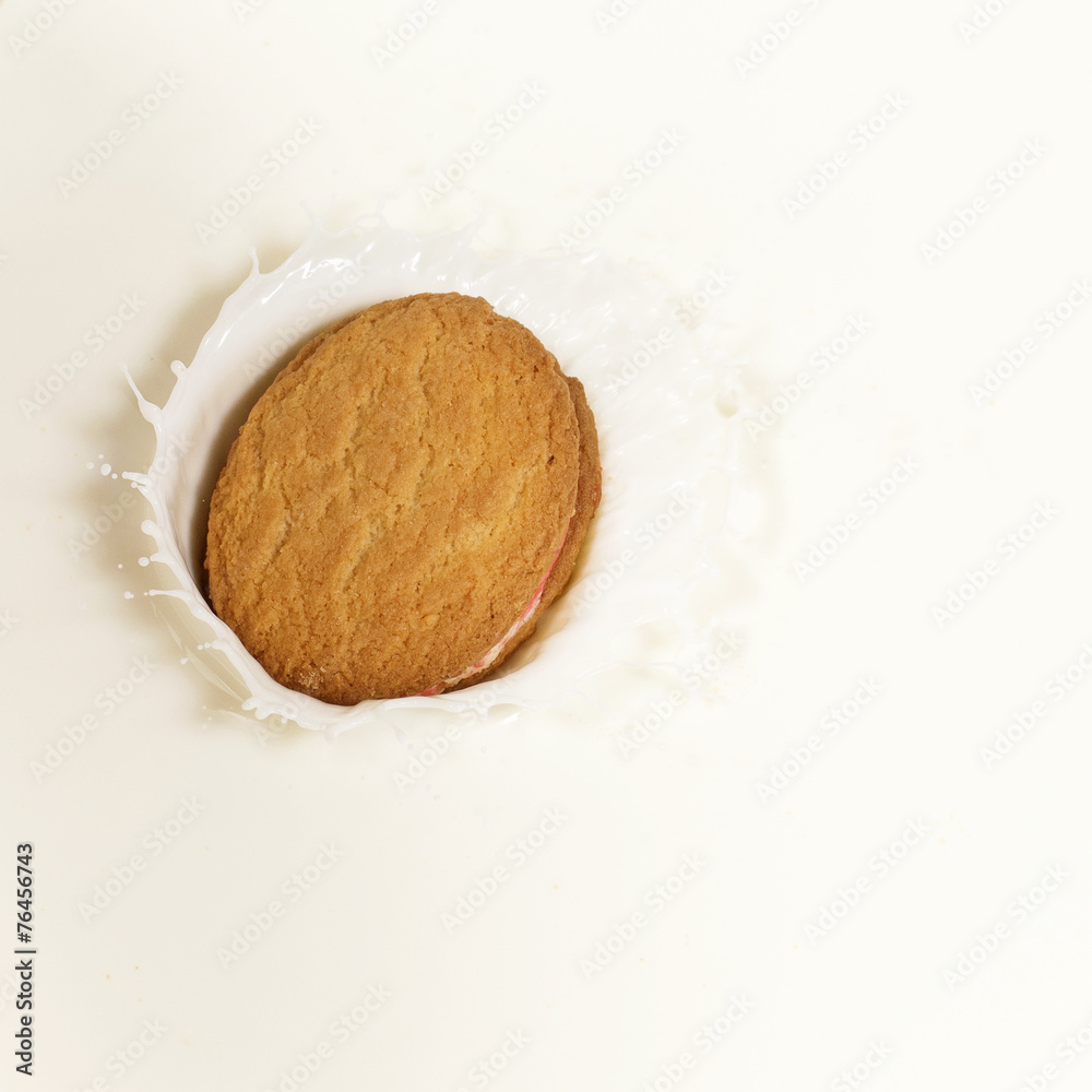 A single biscuit dropped into milk causing a splash.
