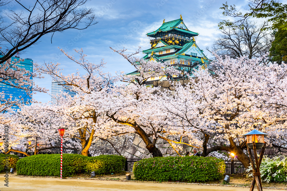 日本大阪，春季在大阪城堡。