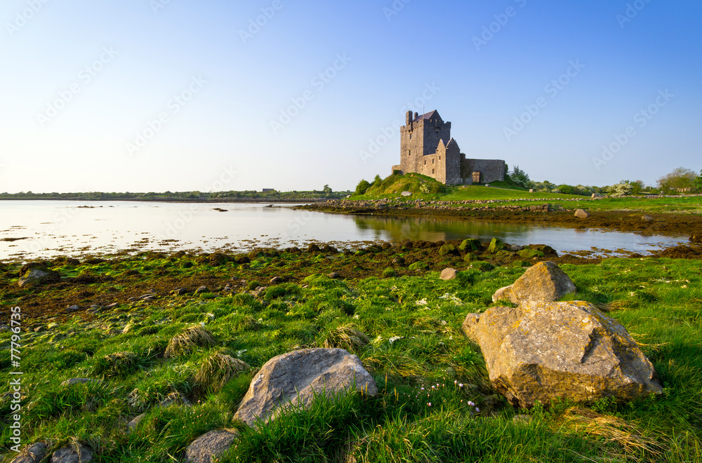 爱尔兰高威郡Dunguaire城堡