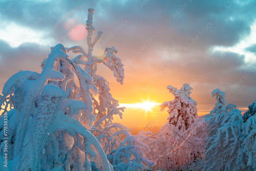 落日余晖中的冬季雪景