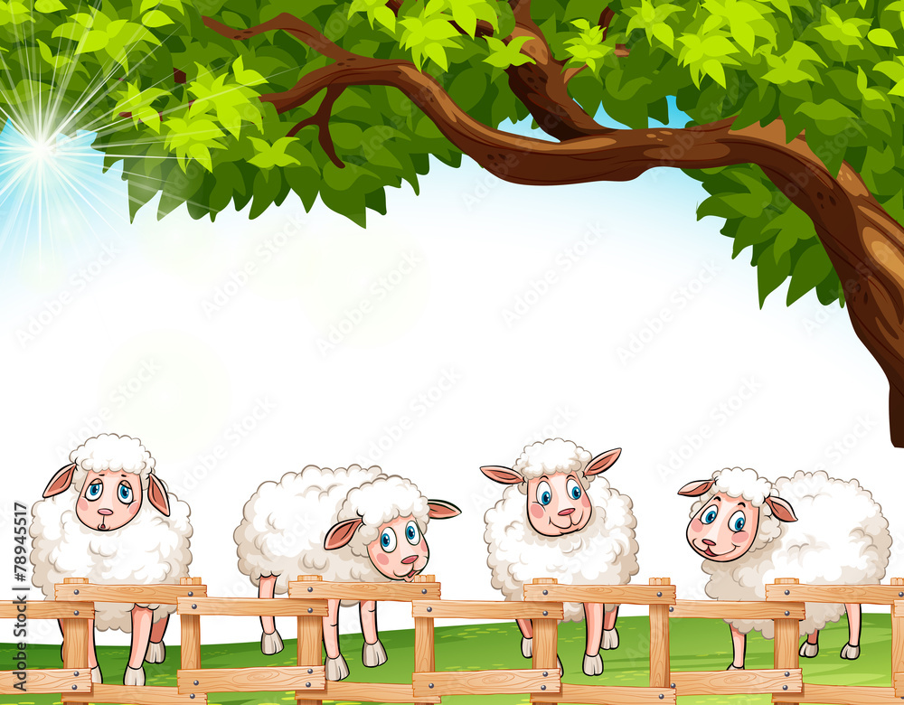 四只羊