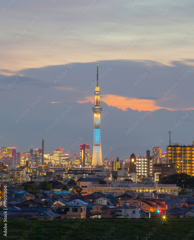 傍晚的东京天空树和东京郊区