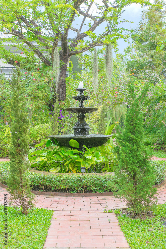 家里绿色花园里的喷泉