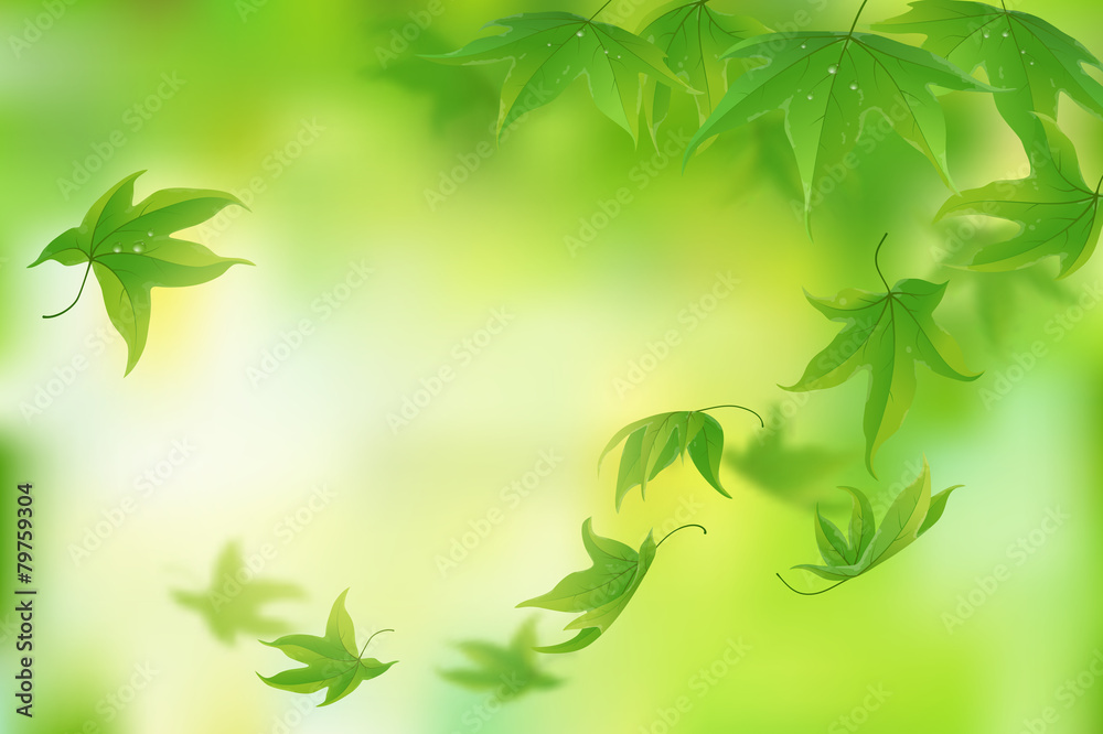 新鲜的绿叶背景，矢量插图