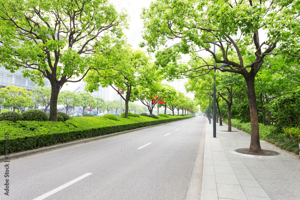 现代城市中的树木装饰道路