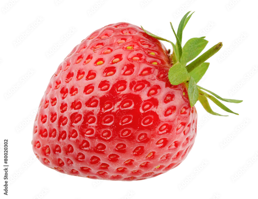 白色背景下分离的草莓