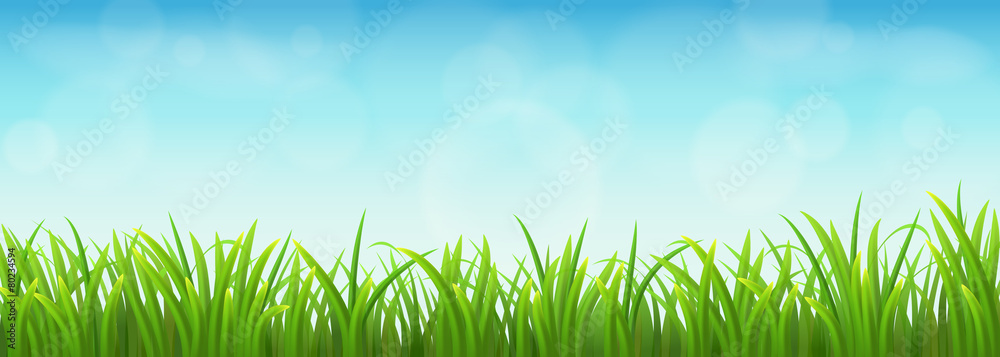 清新的绿草和蓝天，矢量插图