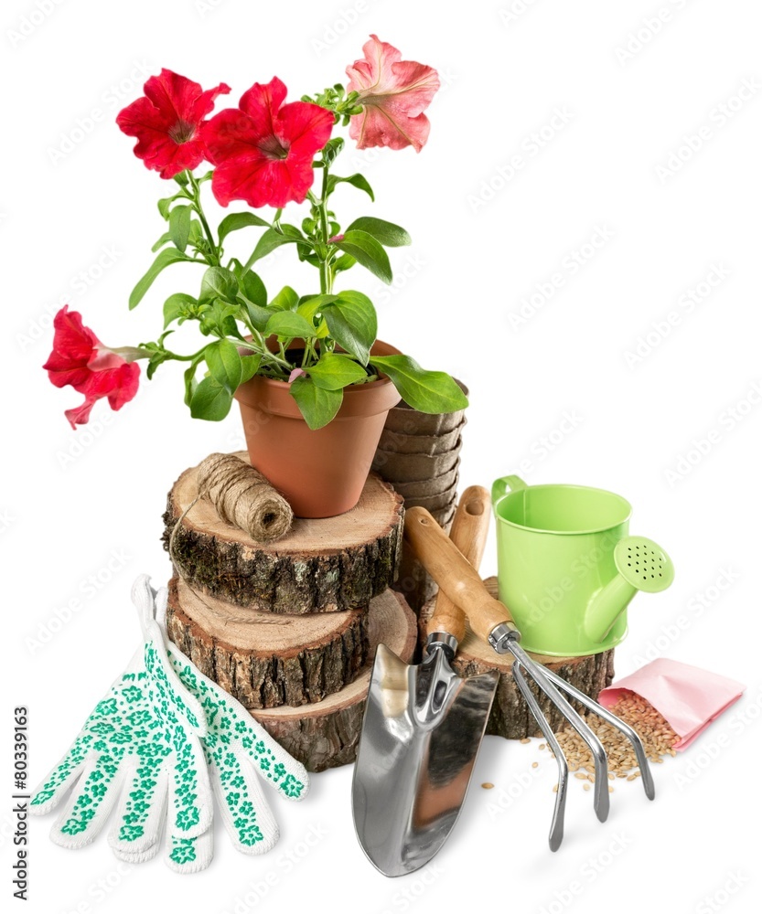 园艺。户外园艺工具和花卉