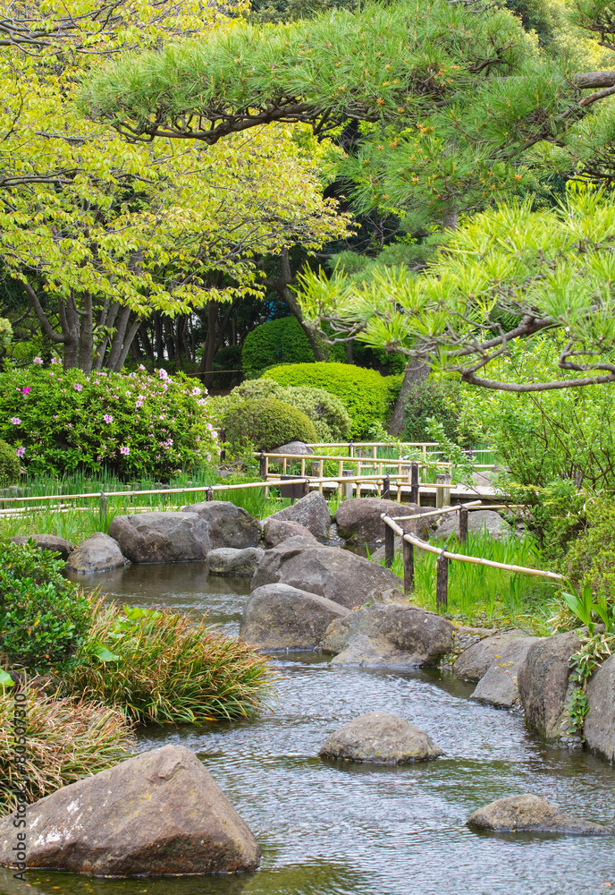 夏季天然日本绿色花园