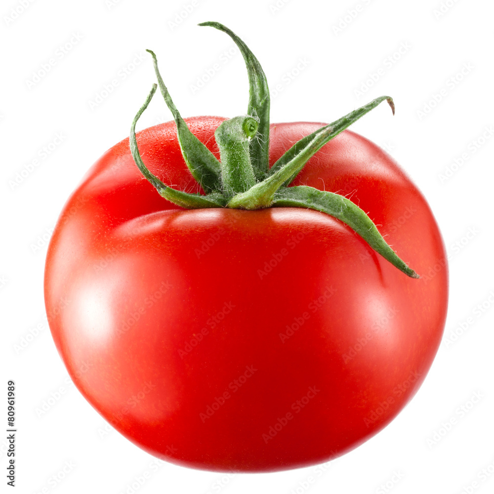 白底番茄分离物