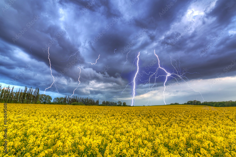 Summer storm over the rapeseed field in Poland
