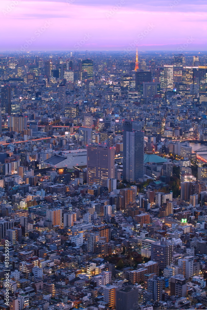 东京城市景观和东京地标东京塔