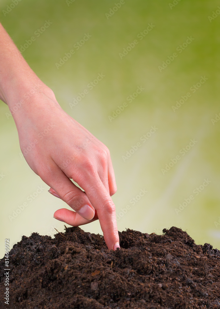 妇女用手将种子播种到一堆土壤中