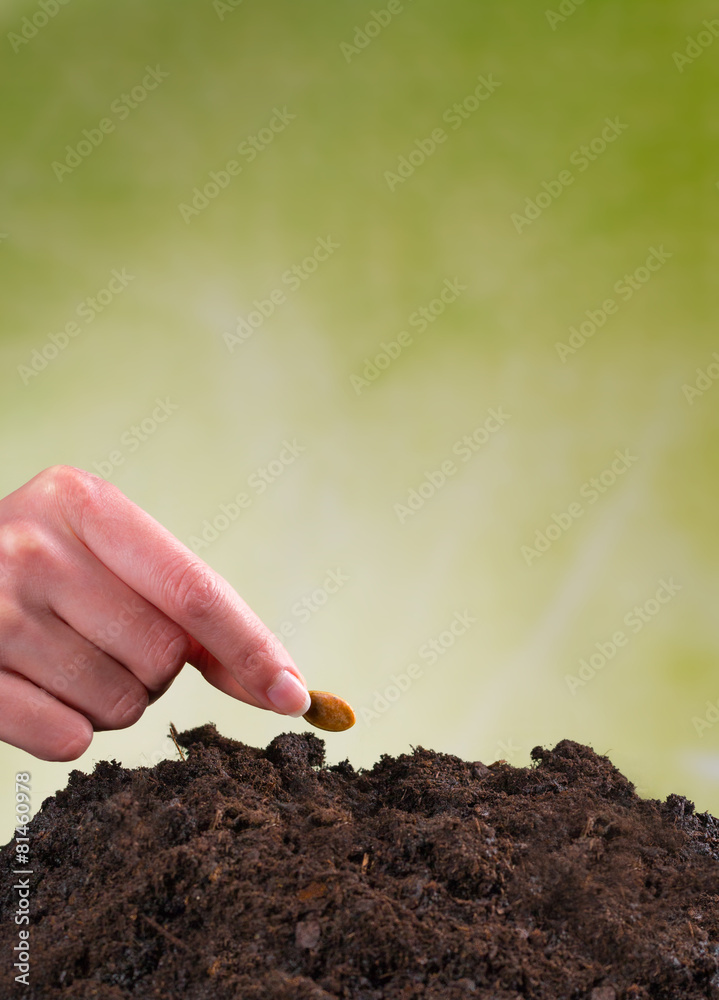Woman hand seeding seed into pile of soil