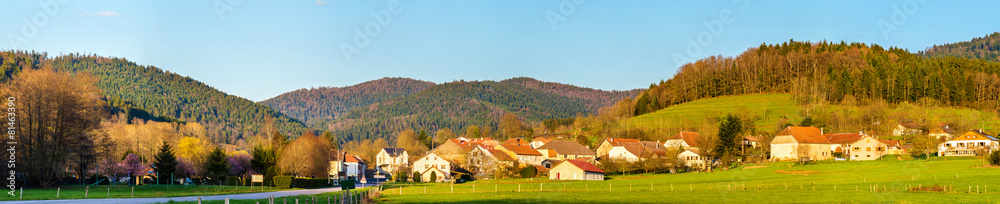 法国沃斯日山脉的一个村庄Gemaingoutte的景色