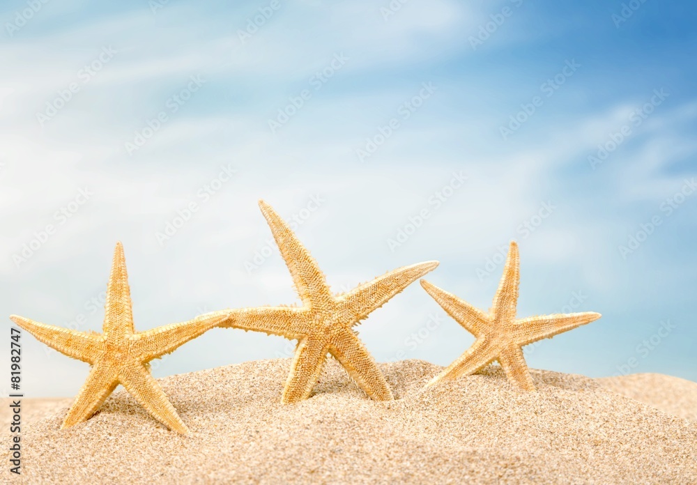 Background. Starfish  with ocean , beach and seascape, shallow