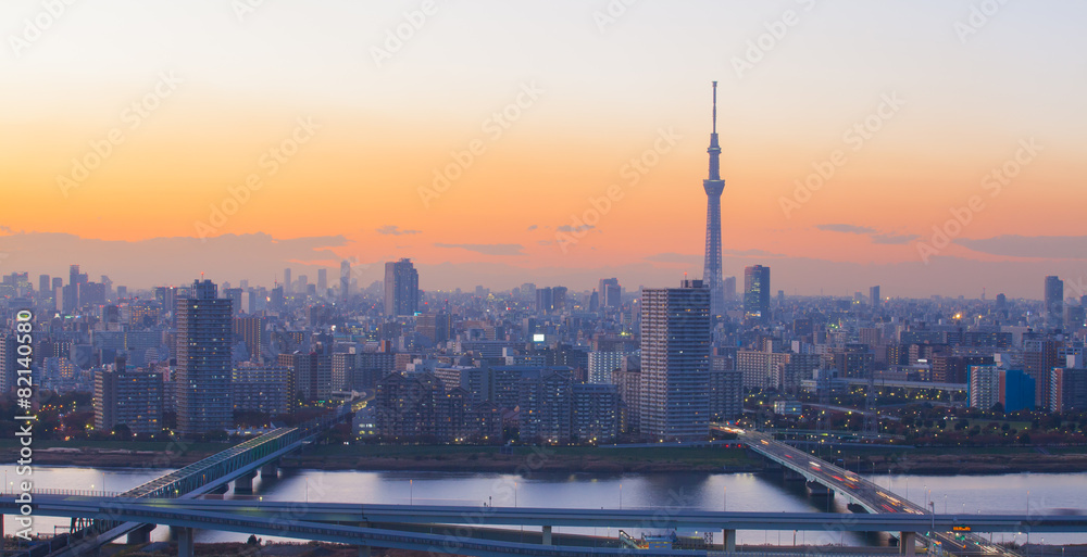 东京天空树和隅田河的东京城市景观