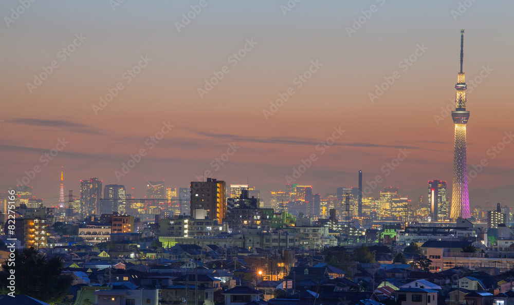 夜晚的东京地标东京天树和东京塔