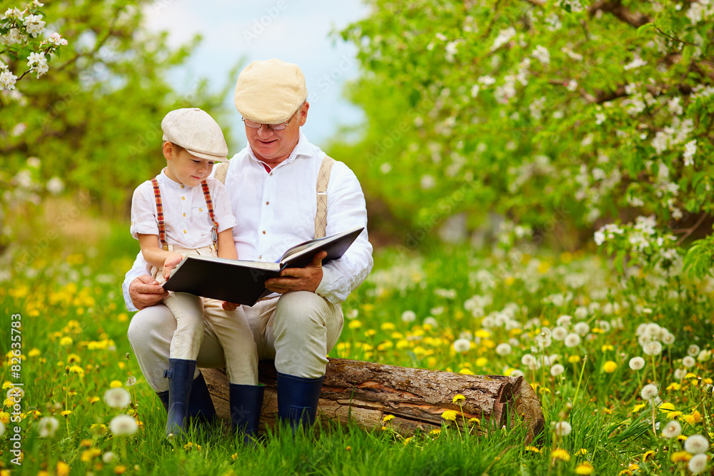 祖父在盛开的花园里给孙子读书