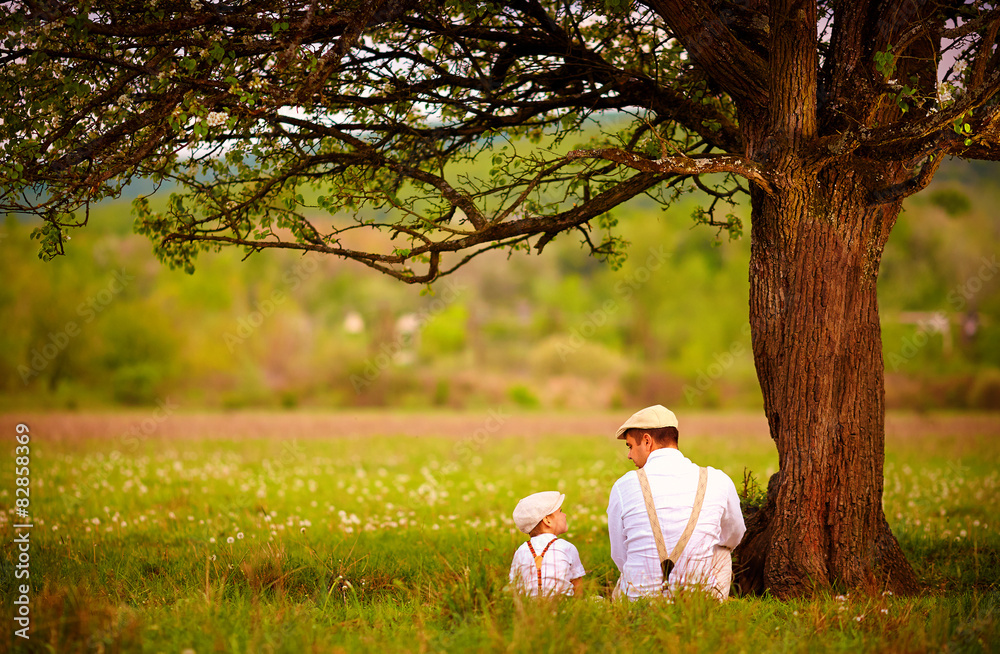 父亲和儿子坐在春天草坪上的树下