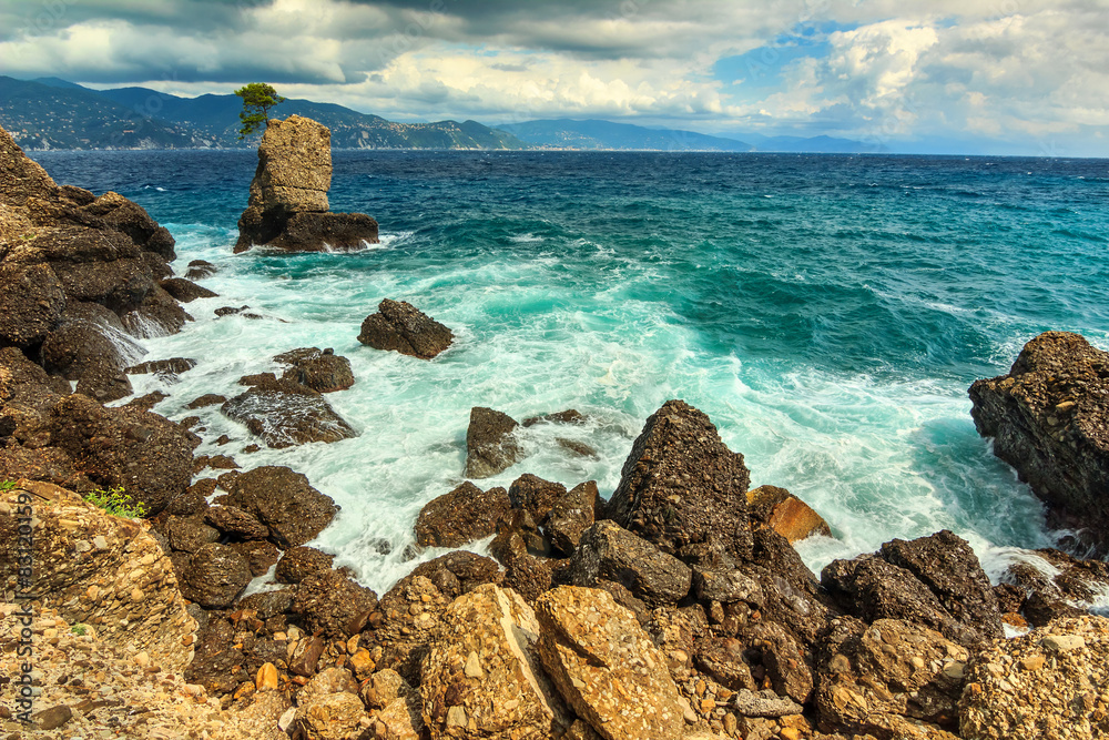 汹涌的大海和岩石海岸线，意大利利古里亚波托菲诺，欧洲