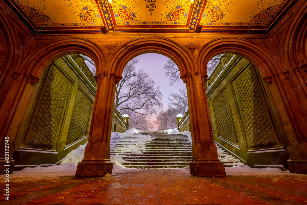 暴风雪后纽约中央公园的贝塞斯达喷泉