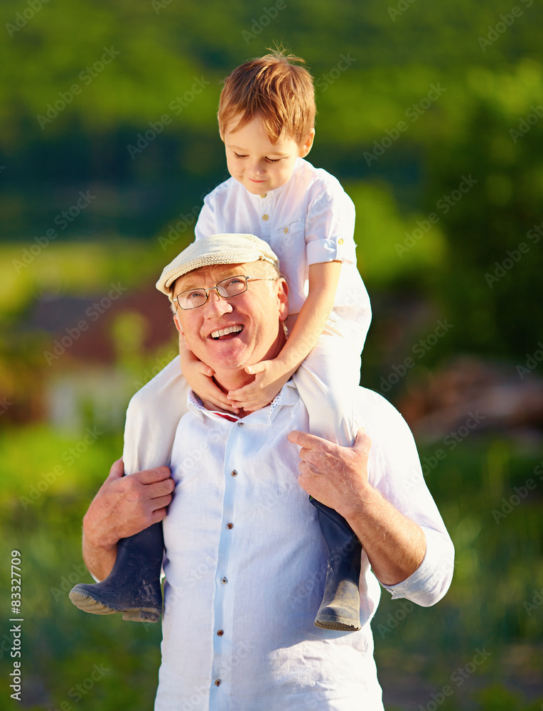 幸福的孙子坐在爷爷的肩膀上，乡村
