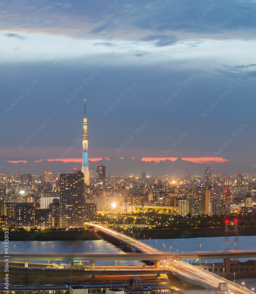 傍晚东京天空树和河流的东京城市景观