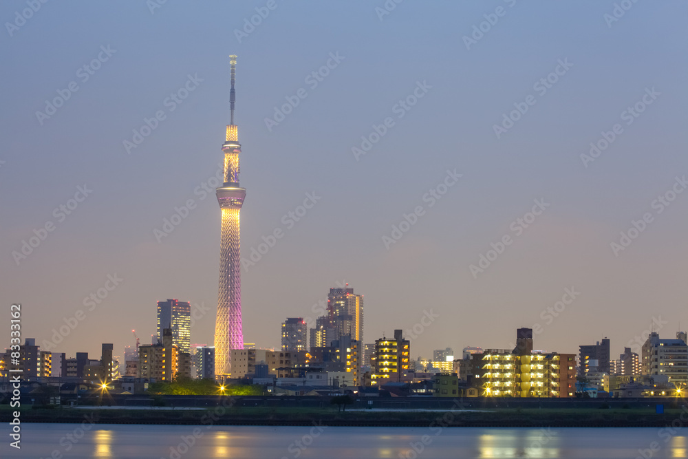 傍晚东京天空树和河流的东京城市景观