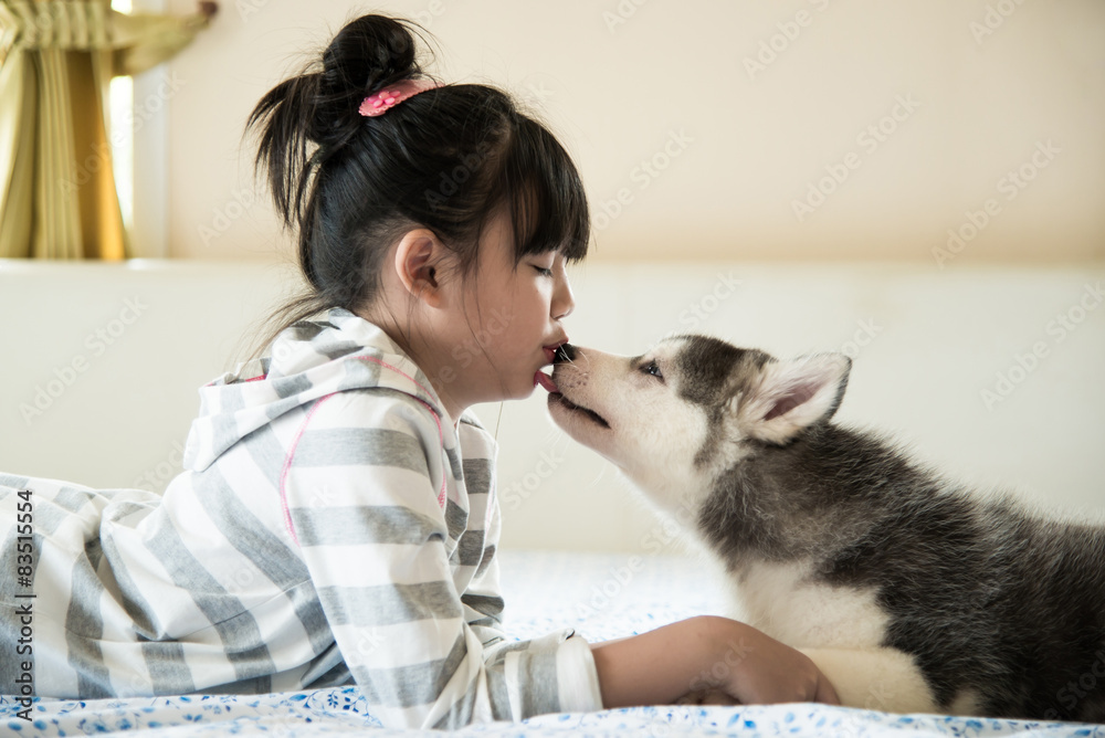 亚洲小女孩亲吻西伯利亚哈士奇小狗