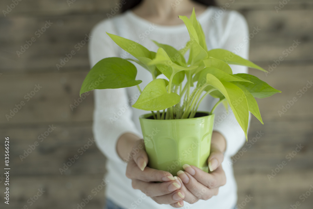 妇女被伸出一株小植物