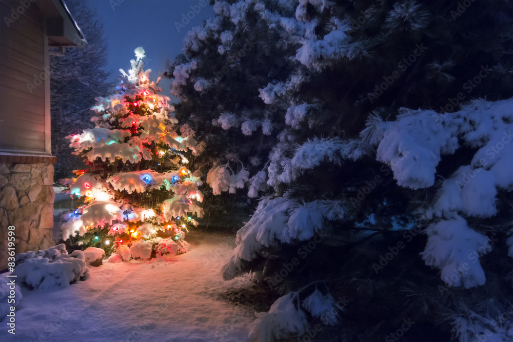 Heavy snow falls quietly on this magical Christmas Tree scene.